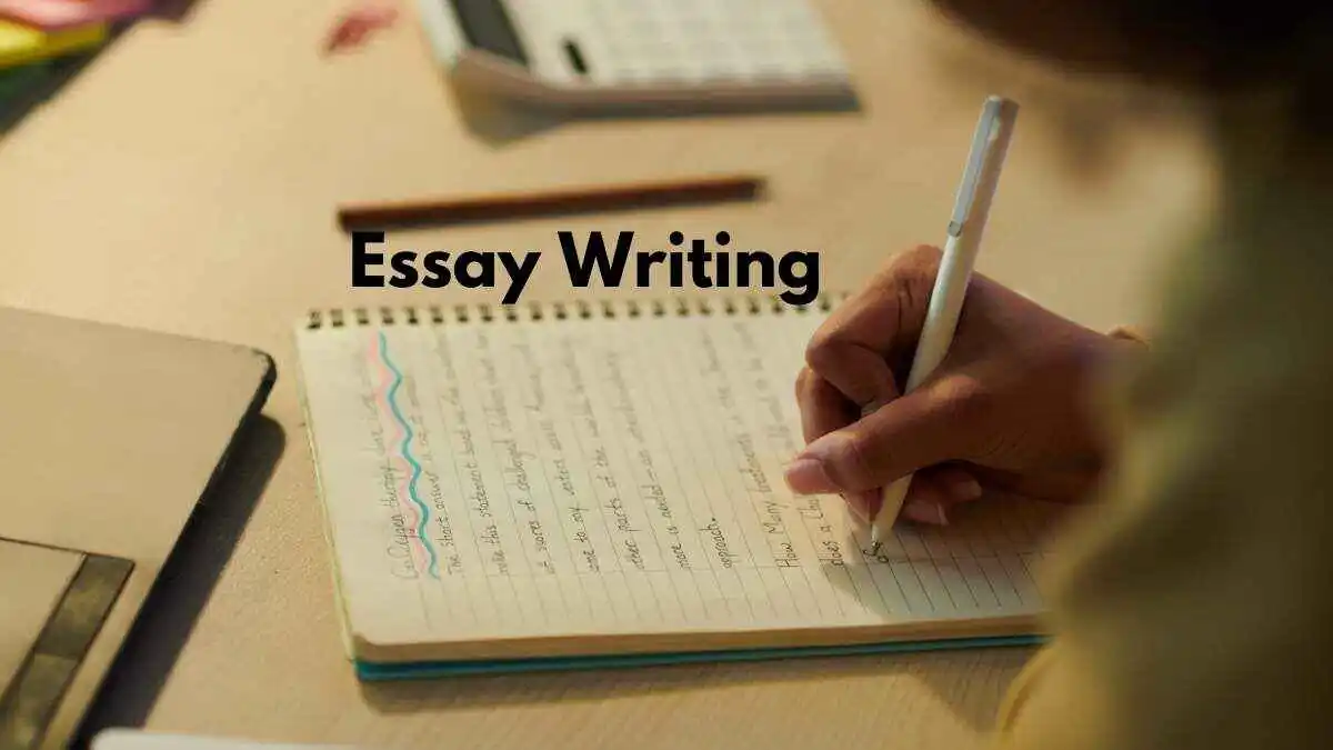 Essay writing